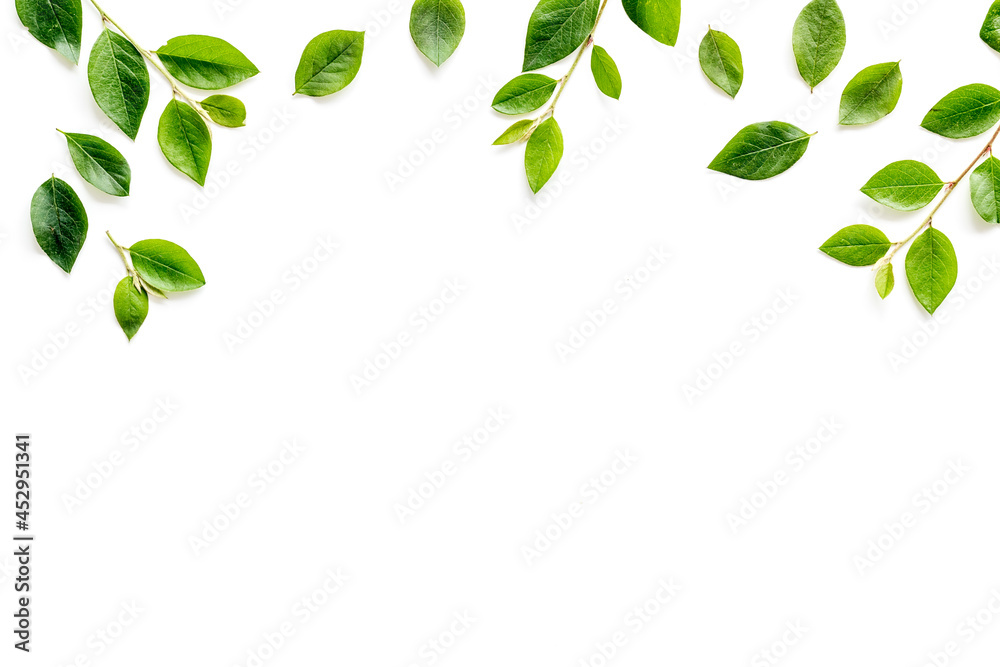 Green leaf pattern on white background. Top view Green leaf pattern on white background. Top view