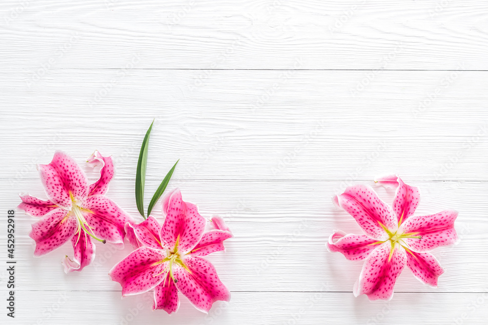 Top view of pink lilies flowers, floral pattern background Top view of pink lilies flowers, floral pattern background
