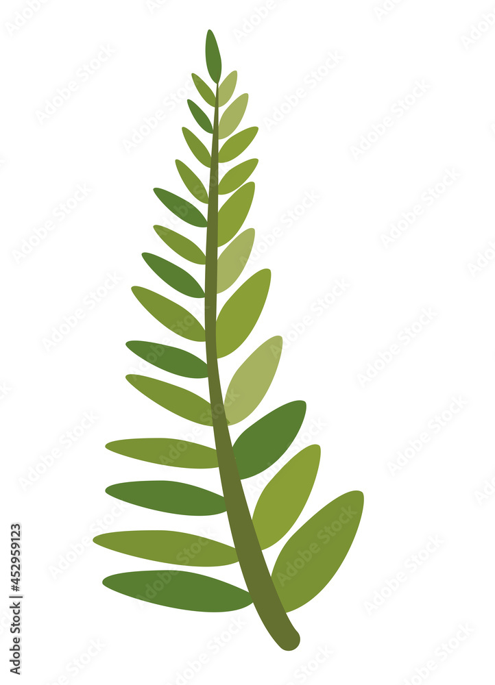 branch with tropical leafs branch with tropical leafs