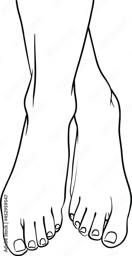 Sketch icon. Doodle vector illustration. White background. Business concept. Beauty concept. Health care concept. Healthy legs. Background illustration graphic design. Line art. Sketch icon. Doodle vector illustration. White background. Business concept. Beauty concept. Health care concept. Healthy legs. Background illustration graphic design. Line art.