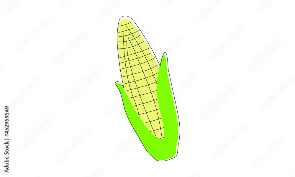 Vector illustration of corn - vegetable, organic food. Icon, logo template for many purposes isolated on white background.