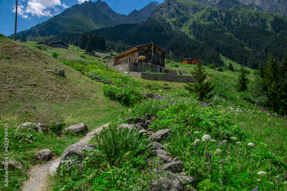 Obraz premium Beautiful landscapes from the uplands of Rize in Black Sea region of Turkey. Rize is the most green city of Turkey. Rize is in the eastern part of the Black Sea Region of Turkey