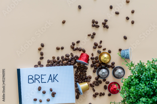 Coffeebreak with capsule, coffeebeans and green plant on beige background