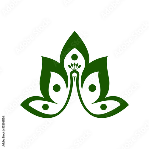 vector abstract illustration and religion peacock logo design

