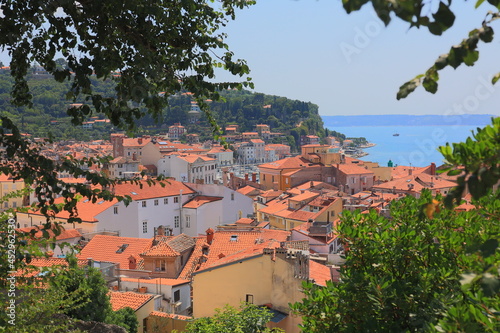 Piran, Slowenien photo