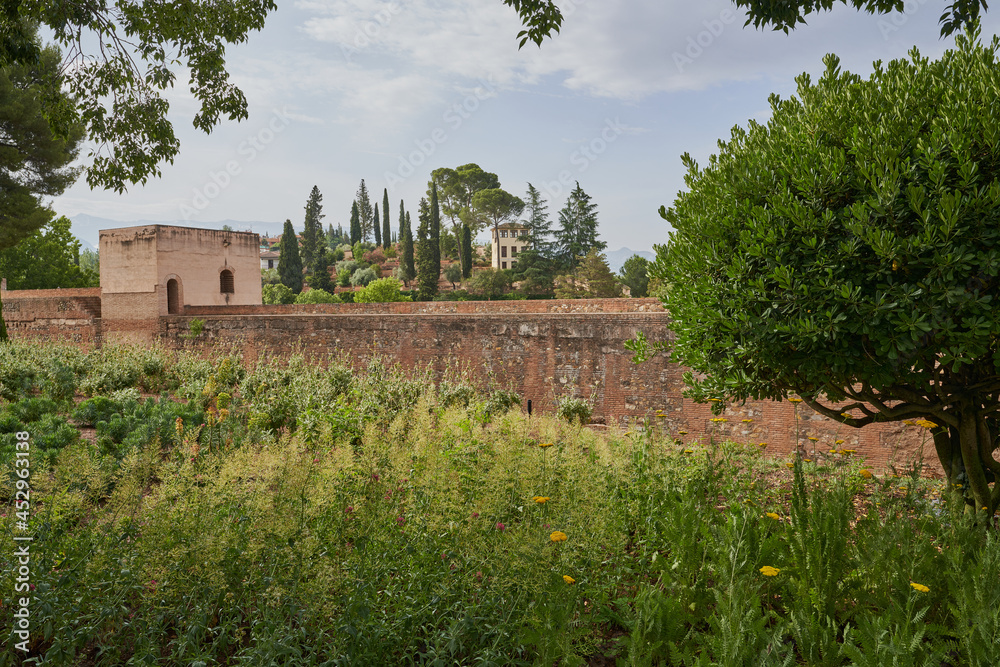 View of the Alhambra in Granada in Spain