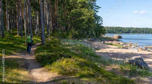 woman hiker on a coastal hiking trail in Laheema Naitonal Park in northern Estonia photo