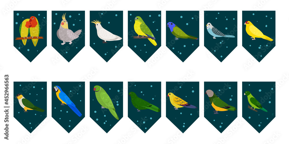 Flags garland for birthday party with tropical birds on colorful dark green background. Bunting wit lovebird cockatiel cockatoo macaw parrots. Hand drawn kid illustration. Vector design set. - obrazy, fototapety, plakaty 