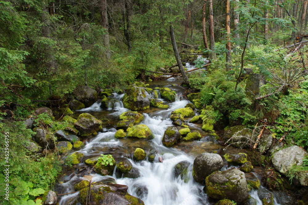 Zielony górski potok