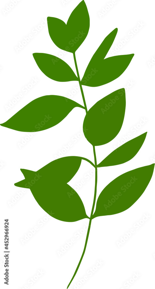 leaves isolated in vector
