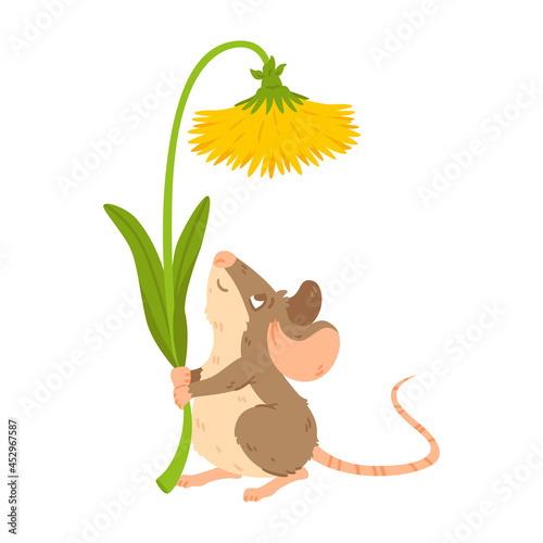 Little forest mouse holding dandelion. Meadow vole with flower. Rat keep blossom. Vector character isolated illustration on white background.