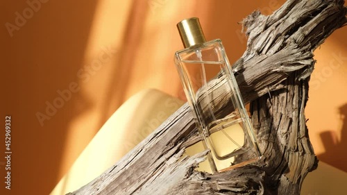 glass bottle of perfume on driftwood, natural shade background