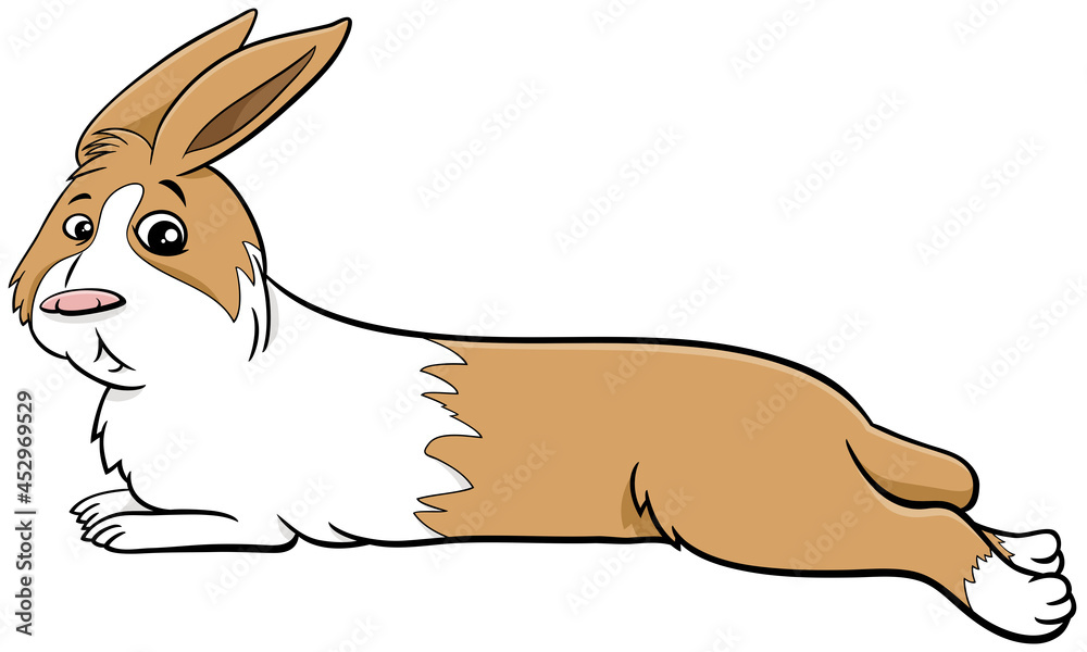 cartoon lying dwarf rabbit comic animal character Stock Vector | Adobe ...