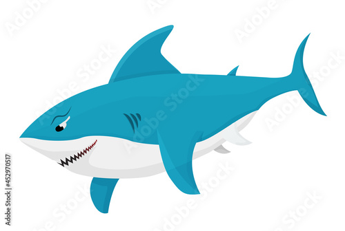 blue shark isolated in white background