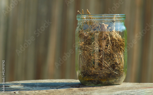 dried dill seeds in a jar
