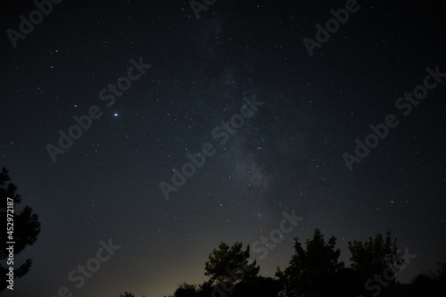 Silhouette of pine trees against Milky Way galaxy. Starry night sky. Night landscape