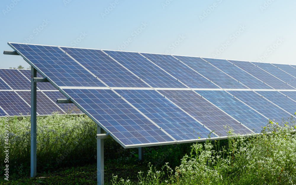 Solar panels close view above green grass under clear blue sky on a bright sunny day