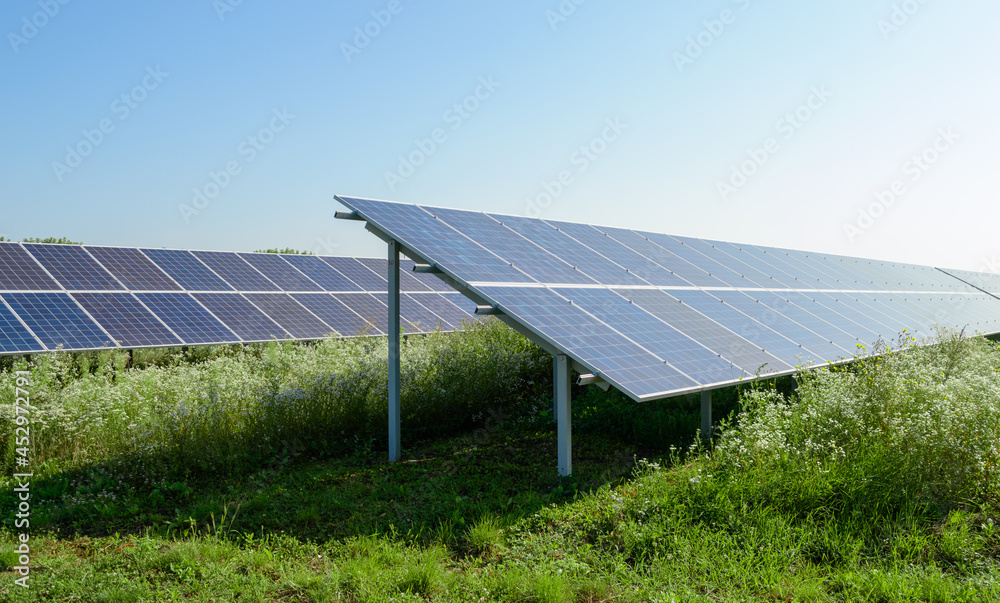 Solar panels installation above green grass under clear blue sky on a bright sunny day