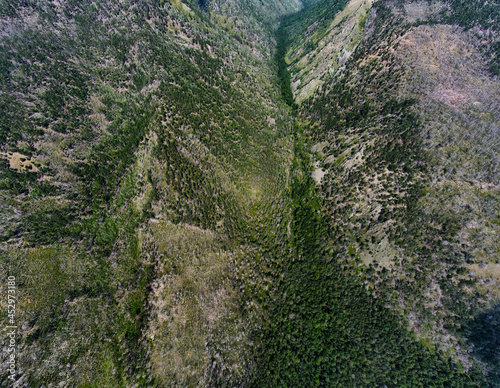 summer mountains