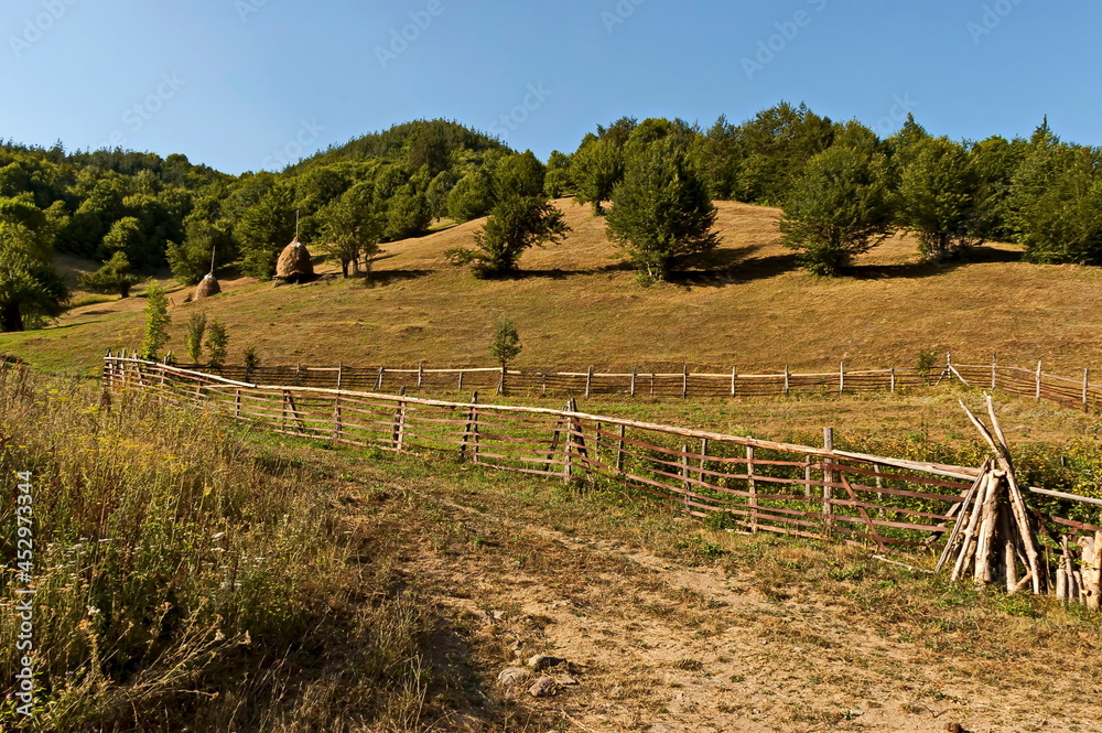 View of a mountain pasture with traditional hayrick for the winter, forest and a vegetable garden near the village of Vasilyovo, Bulgaria 