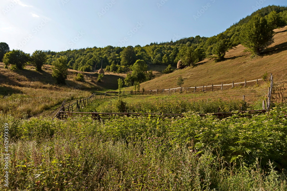 View of a mountain pasture with traditional hayrick for the winter, forest and a vegetable garden near the village of Vasilyovo, Bulgaria 
