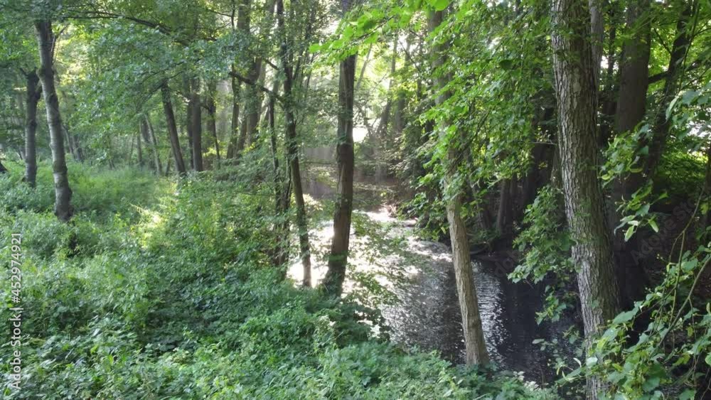 Bach im Spessart Bach im Spessart