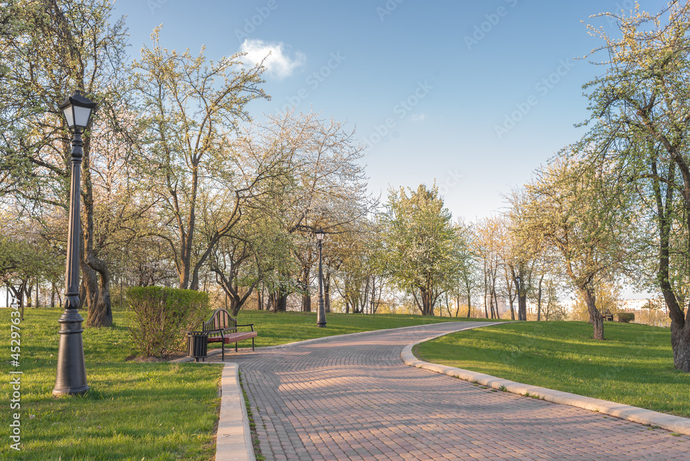 Walking in the Park. Beautiful landscape.