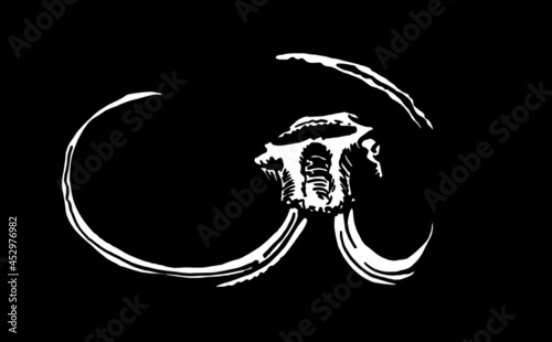Graphical hand-drawn skull of mammoth isolated on black background, vector paleontological element	