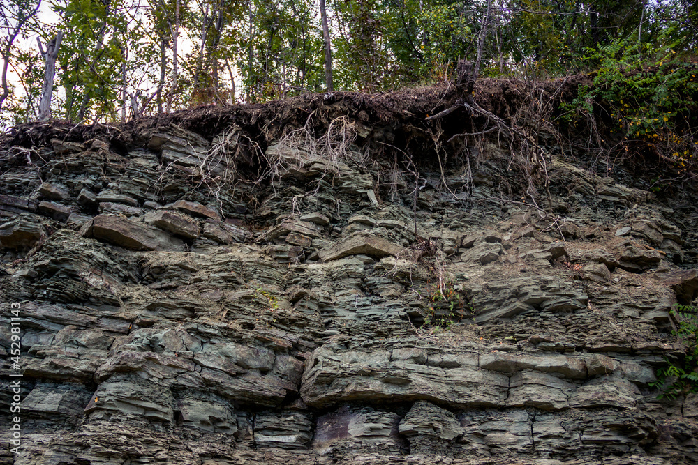 close-up of rock texture