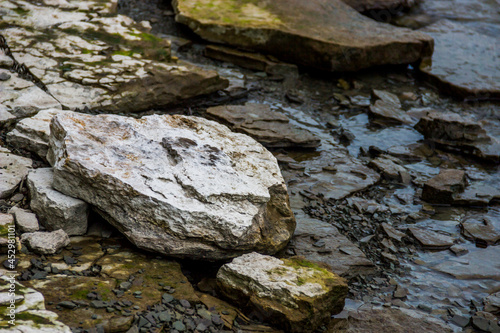 close-up of a bay bank