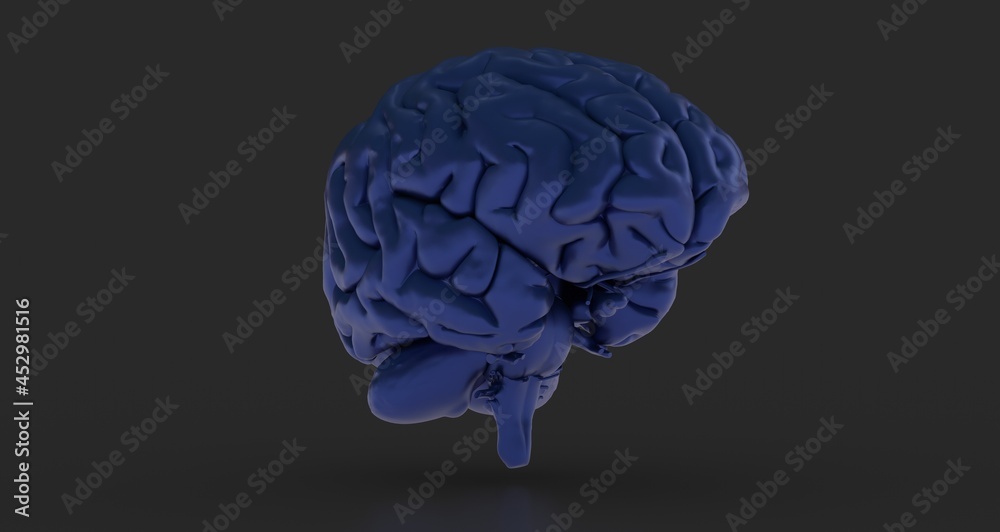 3d rendering of human brain on technology background 3d rendering of human brain on technology background