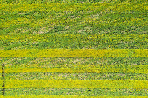 Fields. Sown fields. Square plots of fields. View from above. Aerial photography
