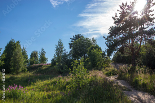 Summer landscape. Leningrad region .