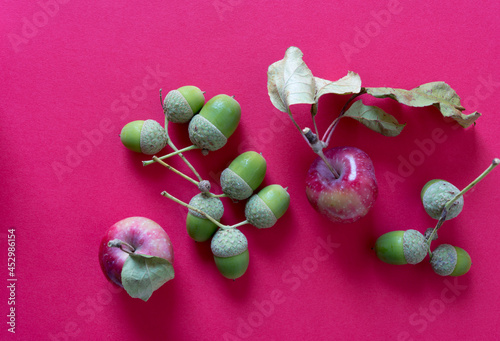 crab apple with dried leaves and acorns photo