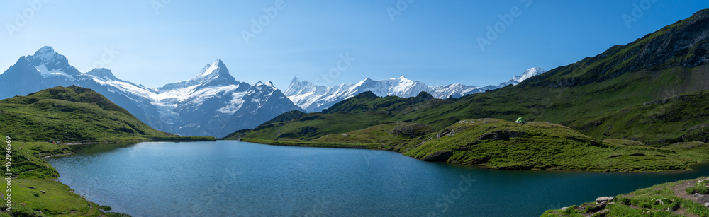 panorama sur un lac de montagne en été avec des sommets enneigés en arrière plan