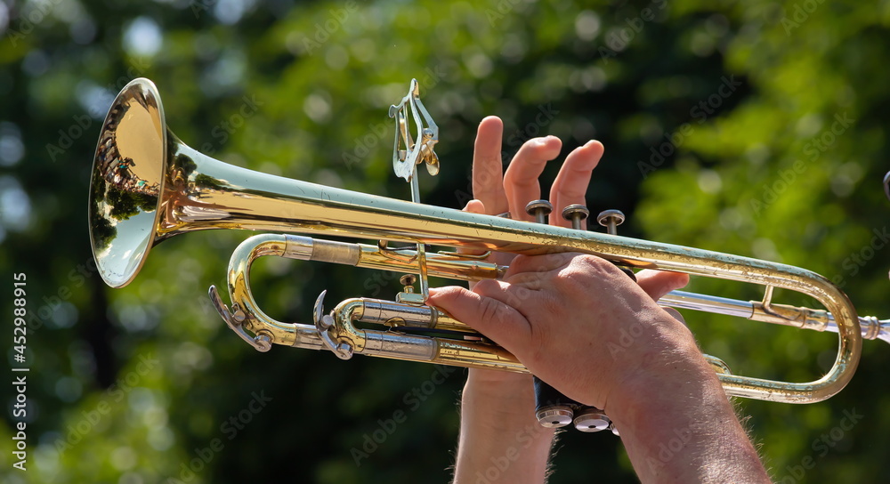 Fototapeta premium playing a brass instrument. military band performs at the festival
