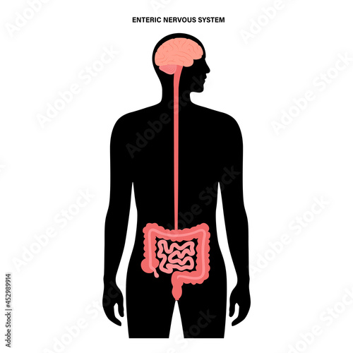 Gut brain connection