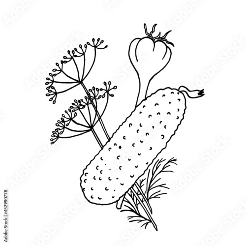 Vegetable set for pickling cucumbers, dill branches, garlic. A black-and-white sketch in the style of doodles. EPS 10.