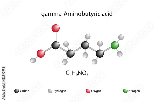 Molecular formula of gamma-aminobutyric acid. Gamma aminobutyric acid is a chemical substance that plays an active role in the nervous system as an inhibitory neurotransmitter. photo