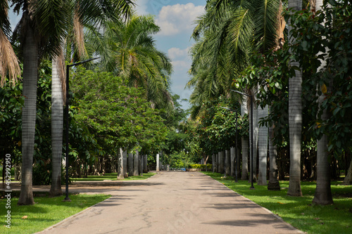 paisaje en sinaloa culiacan