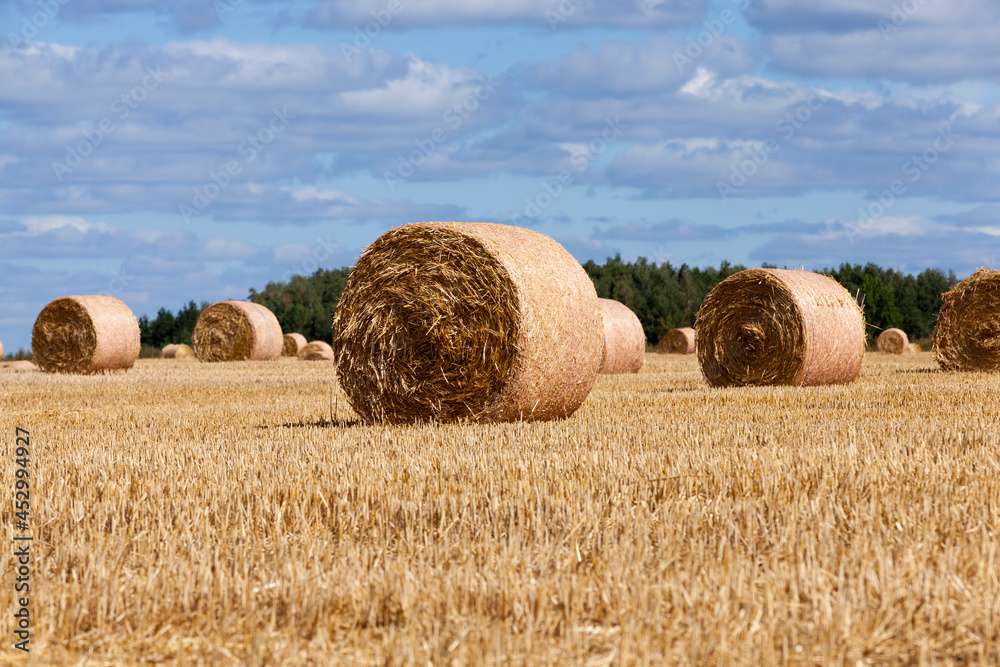 agricultural field with straw stacks