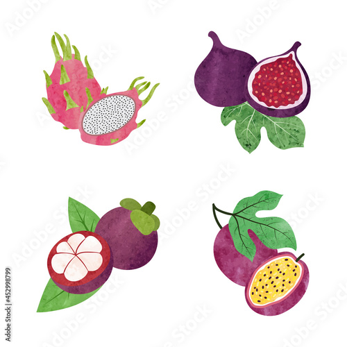 Exotic fruits set. Vector watercolor illustration of passion fruit, mangosteen, fig and dragon fruit.