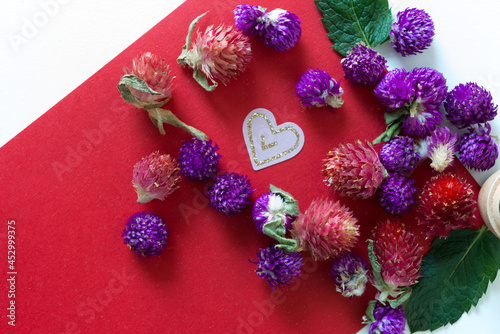 Gomphrena globosa or globe amaranth with mint leaves and a pink heart on a red and white background