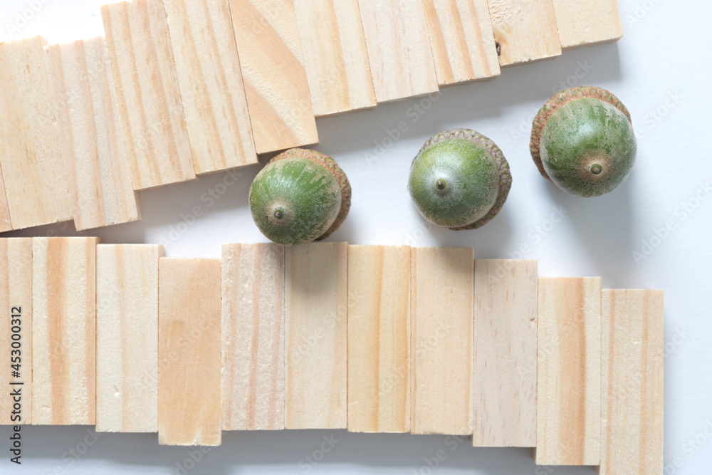 acorns and wooden tiles on a light background acorns and wooden tiles on a light background