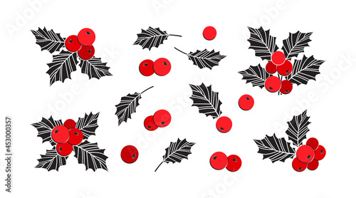 Holly berry christmas vector icons, season decoration set, winter plants. Holiday illustration