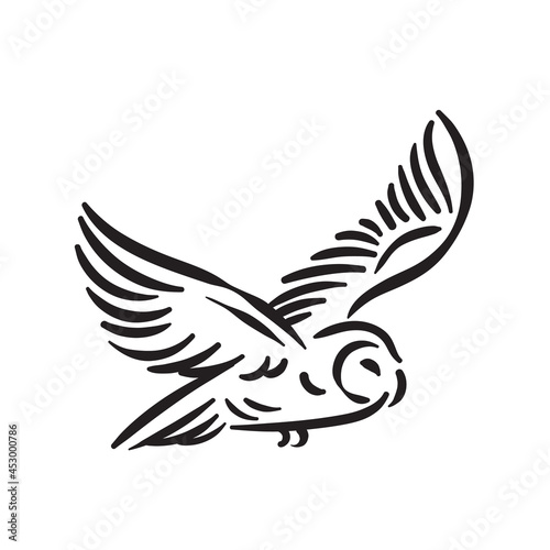 Line style owl bird hand drawn illustration