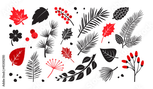 Leaves, branch, tree, berry vector set, autumn and winter plants, hand drawn elements on white background. Nature illustration