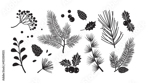 Christmas vector branches, tree, fir and pine cones, evergreen set, holiday decoration, black winter plant, leaf and twig isolated on white background. Nature illustration