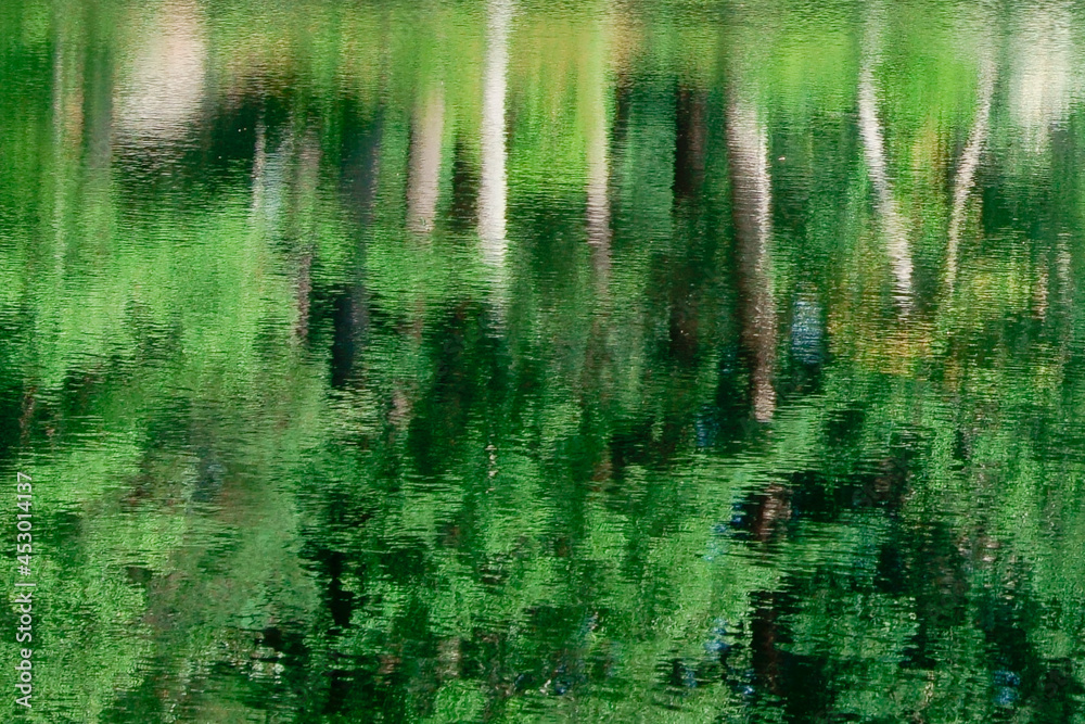 Tranquility of Kingsbury pond Medfield MA USA Tranquility of Kingsbury pond Medfield MA USA