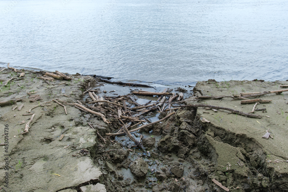 Small Crevasse in the sediment of the Mississippi River with Driftwood